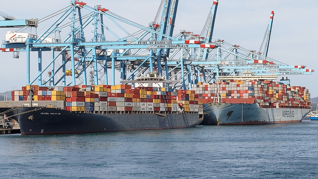 Dos grandes buques portacontenedores amarrados junto a grúas en un puerto marítimo.